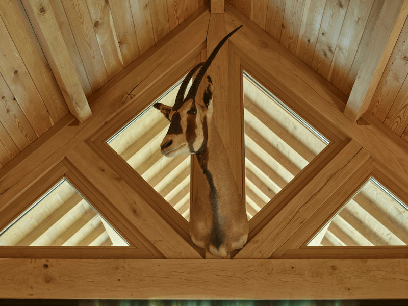 Eiken vakantiewoning in het bos