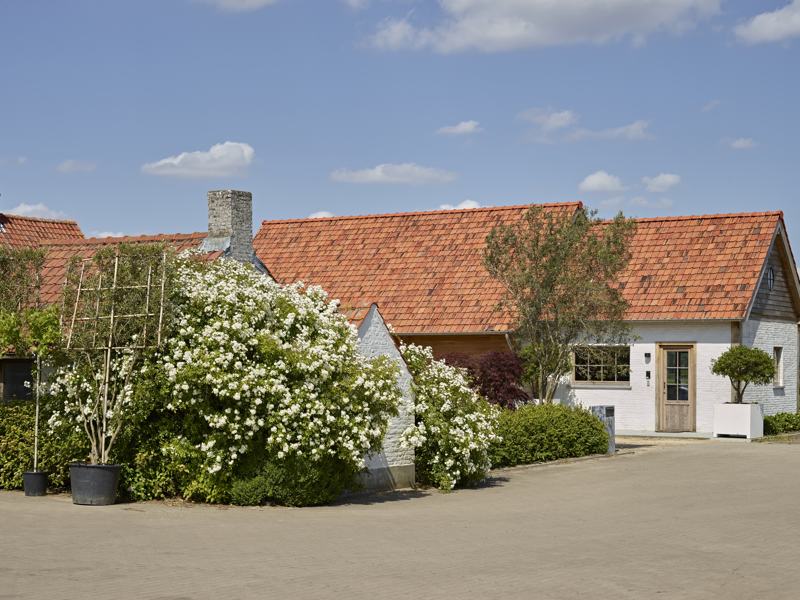 Kantoorgebouw van boomkwekerij Van Colen